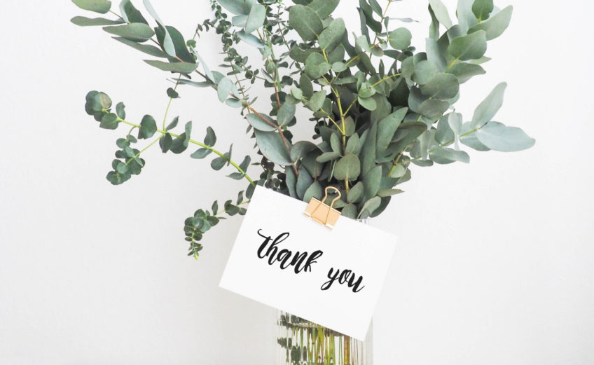 When to Send Thank You Cards After Your Bridal Shower Cheers and
