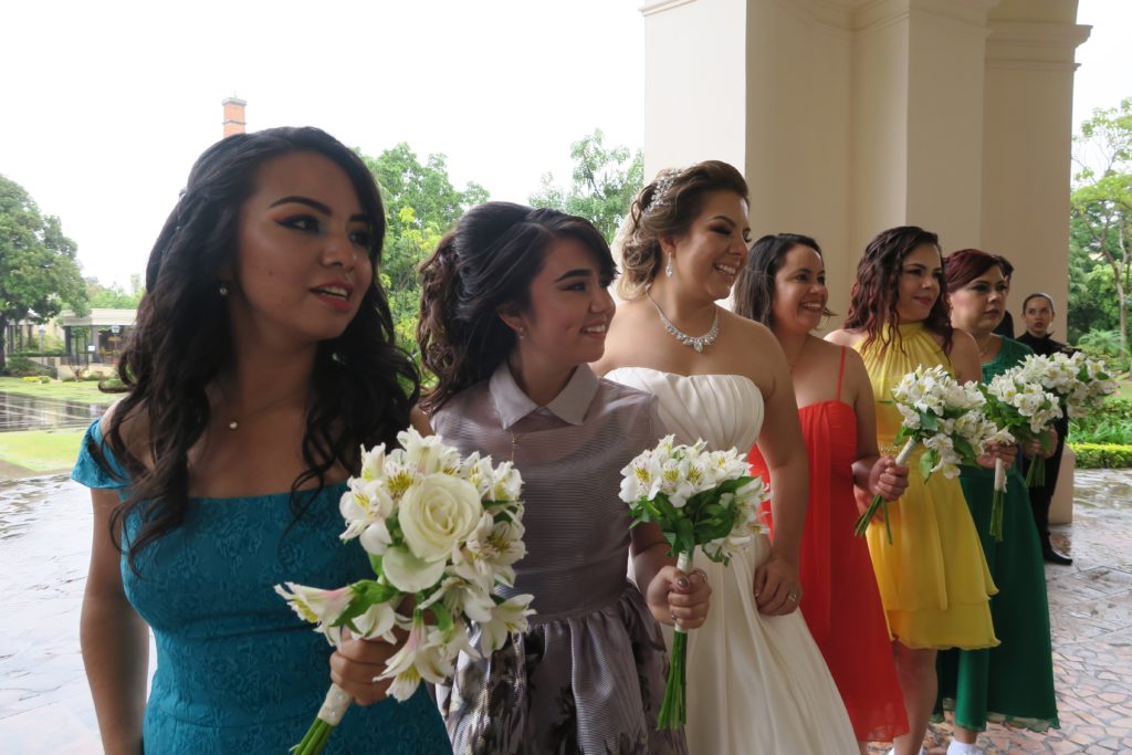 Bridal Dress Shopping Color Palette