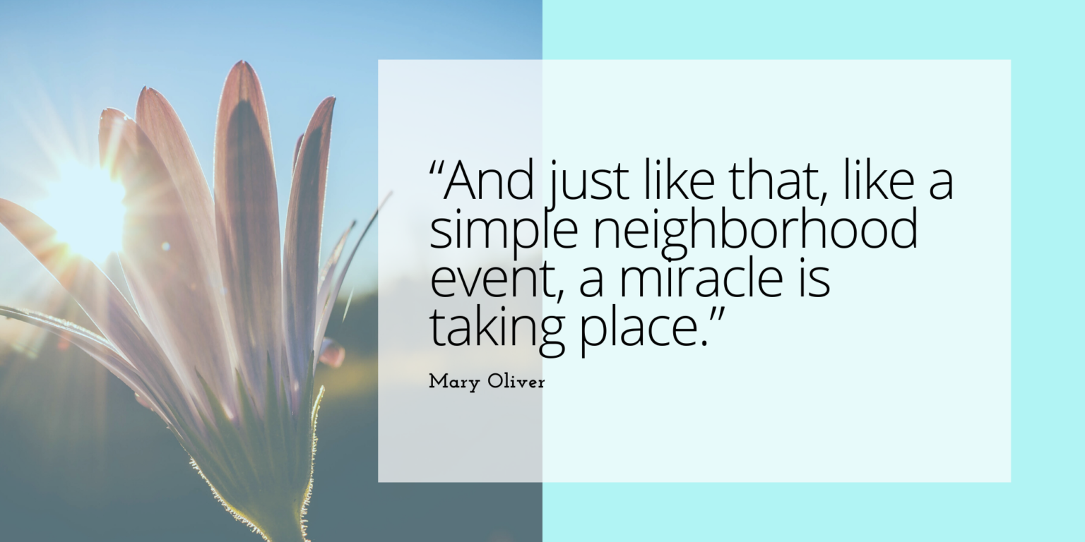 7 Quotes to Inspire Every Event Professional Cheers and Confetti Blog