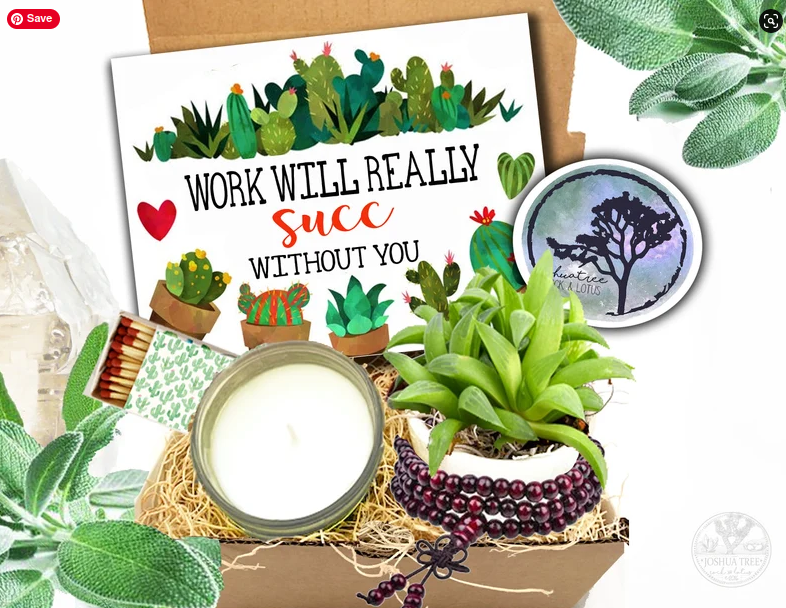 image of succulent gift box with a card that says "work will really succ without you"