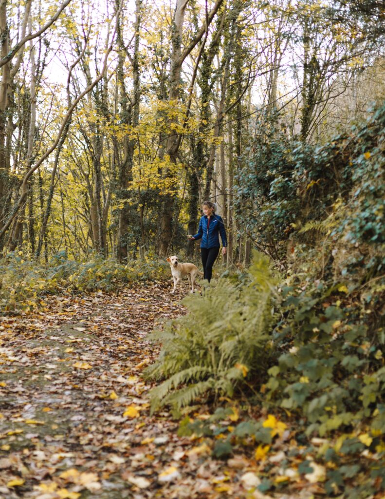 woman walking in the woods in autumn