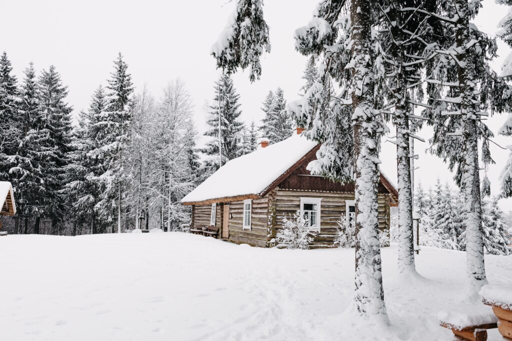 Winter activity: snowy cabin in the woods