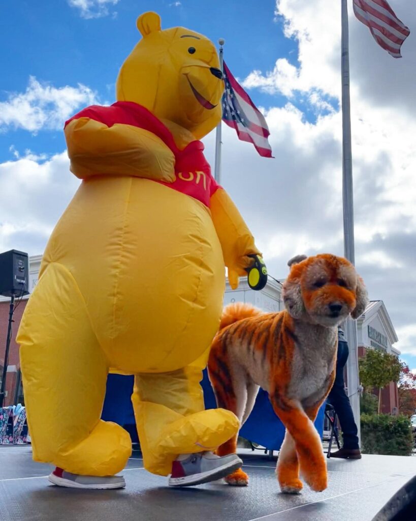 Dog-Tigger lookalike next to a person dressed as Winny-The-Pooh